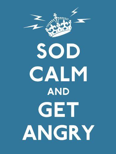 Sod Calm and Get Angry Resigned Advice for Hard Times Kindle Editon