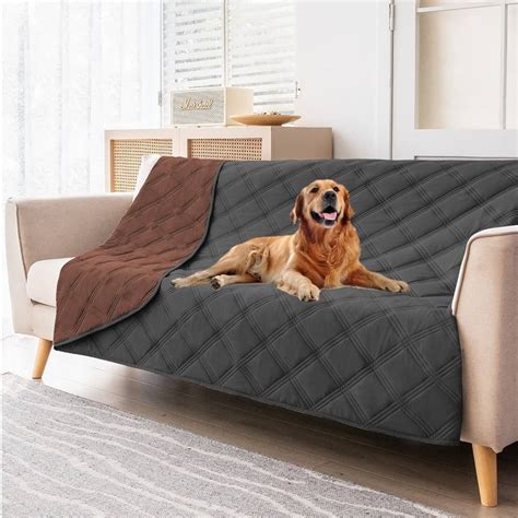 Sofa Covers for Dogs: The Ultimate Buyer's Guide