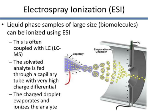 Soft Ionization Biological Mass Spectrometry Kindle Editon