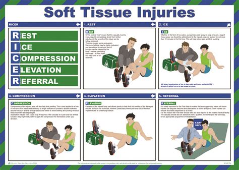 Soft Tissue Injuries Diagnosis and Treatment PDF