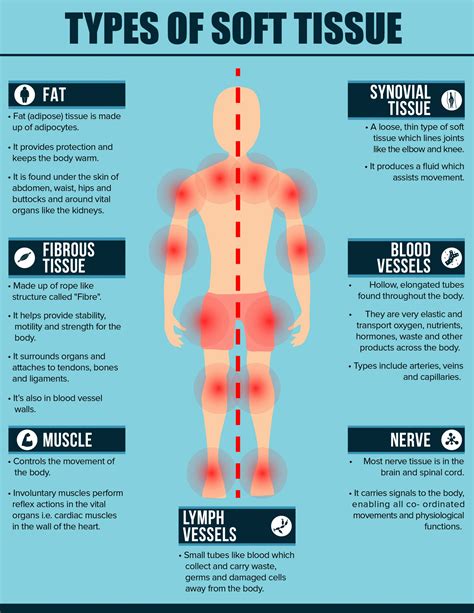 Soft Tissue Pain & D Doc