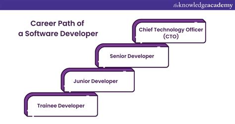Software Developer Career