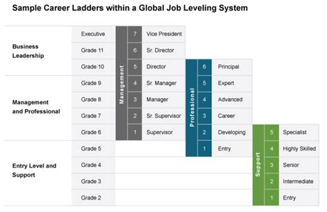 Software Engineer Entry Level: A Comprehensive Guide to Embark on Your Career Path