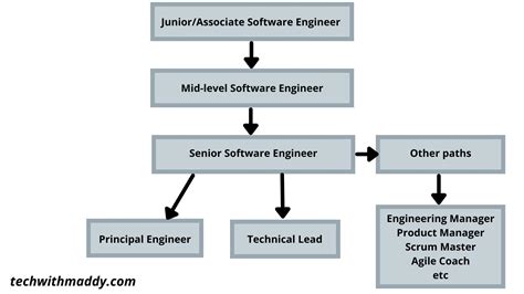 Software Engineering - A Lucrative Career Path