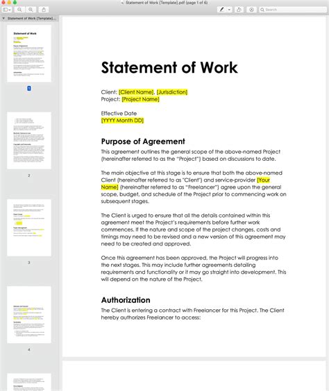 Software Statement Of Work Template
