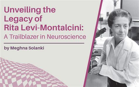 Soh Wee Boon: A Trailblazer in the Realm of Computational Neuroscience