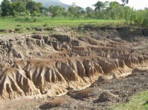 Soil Depletion: