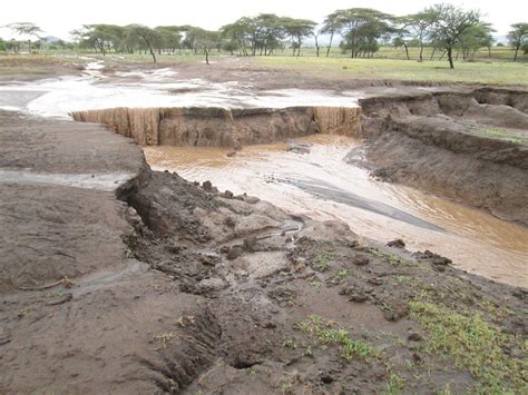 Soil Erosion & Conservation 3rd Edition Doc