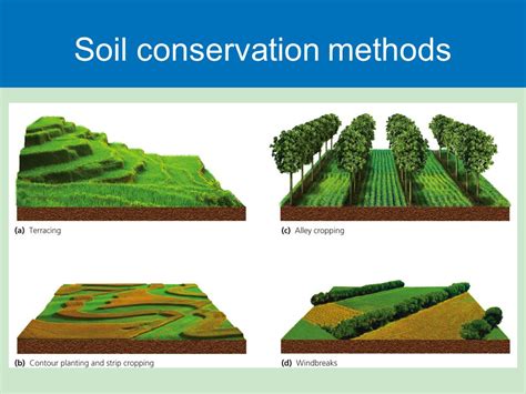 Soil Erosion of Tripura A Model for Soil Conservation and Crop Performance PDF