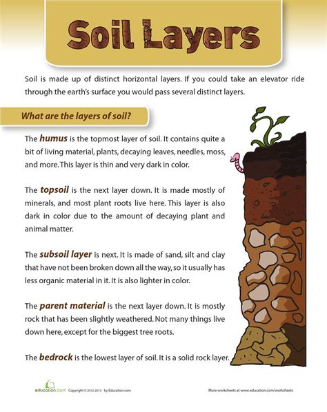 Soil Formation 2nd Edition Doc