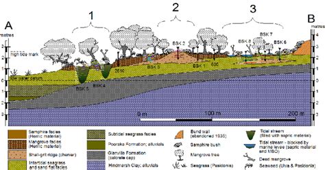 Soil Geomorphology Kindle Editon