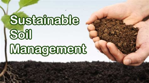 Soil Health and Land Use Management Epub