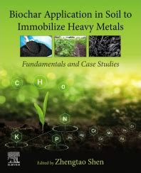 Soil Heavy Metals 1st Edition PDF
