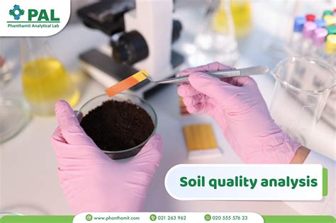 Soil Quality: