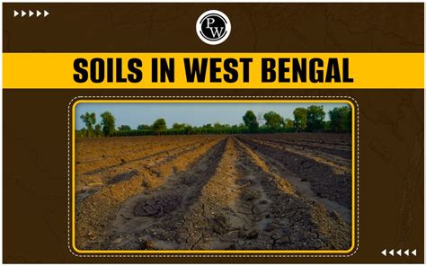 Soil Series of West Bengal PDF