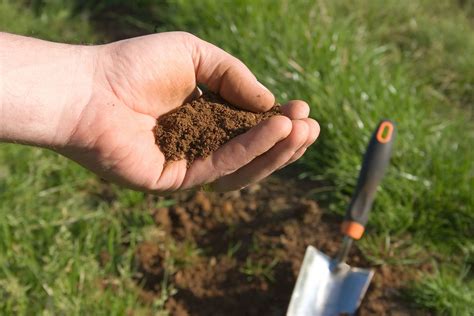 Soil Test Regularly: