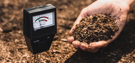 Soil Testing and Analysis: