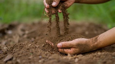 Soil conditioning