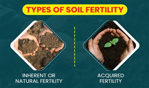 Soil infertility: