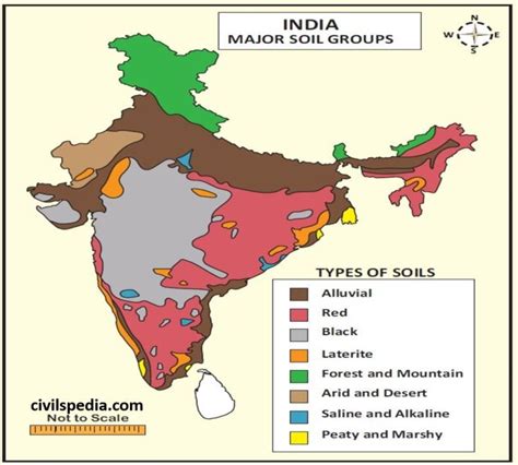 Soils of Delhi Their PDF