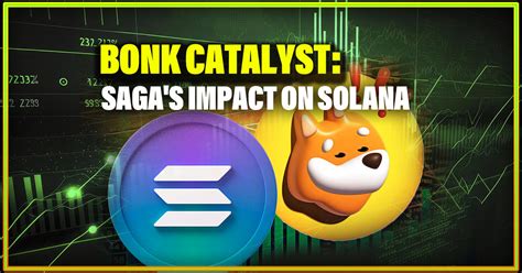 Solana, Bonk, and Bern: A Catalyst for Innovation