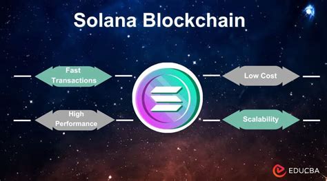 Solana Epoch 101: A Comprehensive Guide to the Blockchain's Core Mechanism