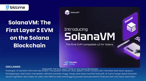 SolanaVM: The Virtual Machine Powering the Solana Blockchain