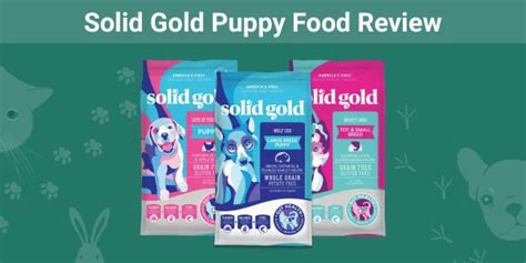 Solid Gold Puppy Food: 100% Truth Revealed!