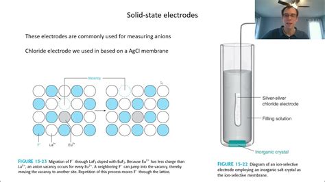 Solid-state electrodes: