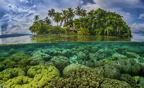 Solomon Islands: 10,000 South Pacific Wonders