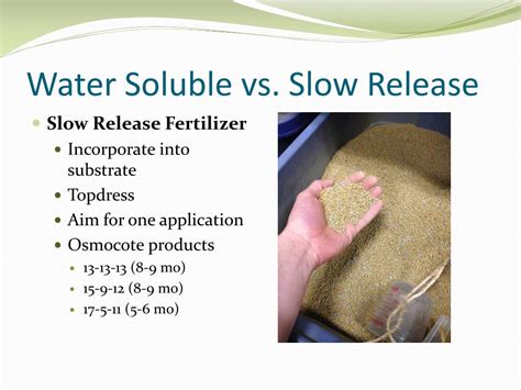 Soluble vs. Slow-Release: