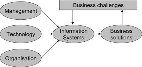 Solution Laudon PDF