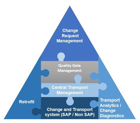 Solution Manager Sap Change Control Management Special Reader