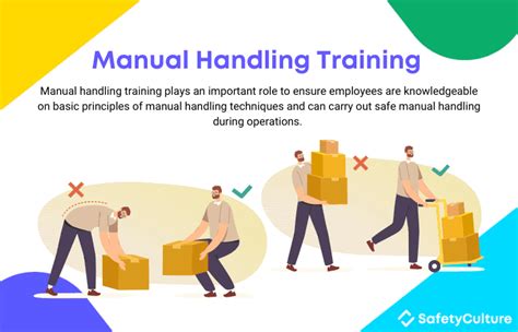 Solutions Manual Handling Training PDF