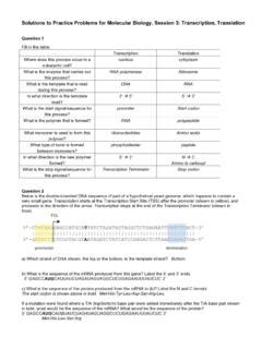 Solutions To Practice Problems For Molecular Biology PDF