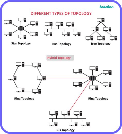 Solved Mcq Of Computer Topology With Answer Epub