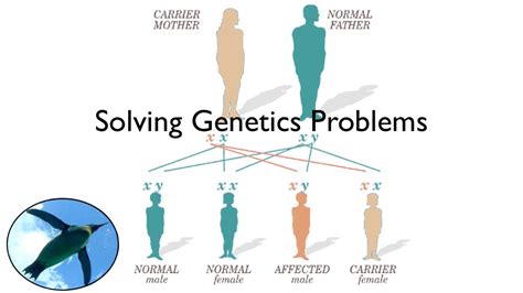 Solving Problems in Genetics 1st Edition Doc