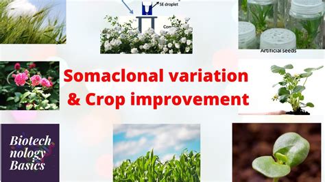 Somaclonal Variation in Crop Improvement I Kindle Editon