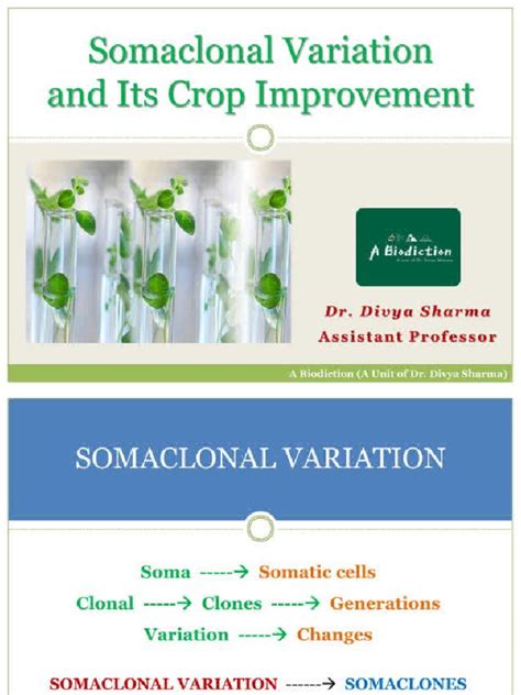 Somaclonal Variation in Crop Improvement I Kindle Editon