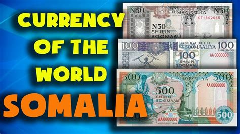 Somalia Currency to PKR: Exchange Rates, Conversions, and Insights