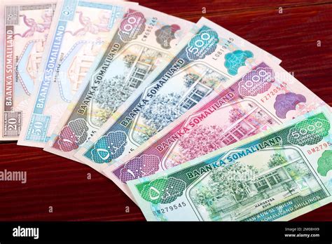 Somaliland Shilling to USD: Unveiling the Currency Dynamics and Economic Landscape