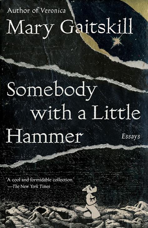 Somebody with a Little Hammer Essays PDF