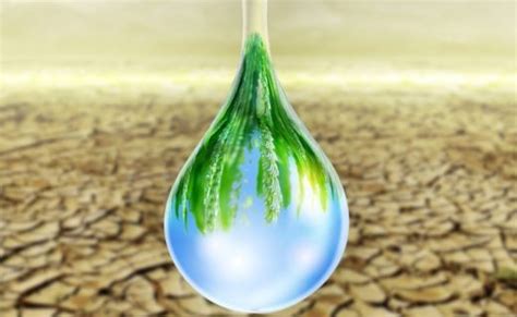 Something in the Water: Unlocking the Potential of Water-Based Solutions