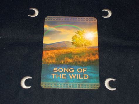 Song of the Wild Kindle Editon