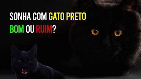 Sonhar com Gato Preto: Significados, Interpretações e Análises