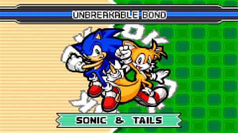 Sonic and Sticks: An Unbreakable Bond in the Adventure of a Lifetime