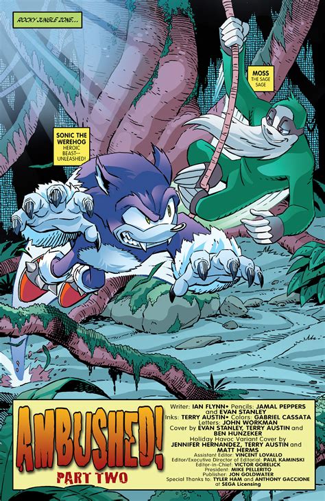 Sonic the Werehog Comic: A Comprehensive Exploration