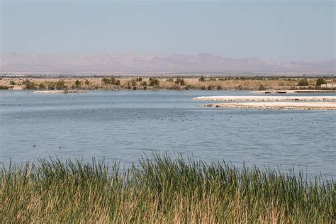 Sonny Bono Salton Sea National Wildlife Refuge: A Place of Hope and Restoration