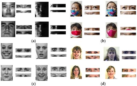 Sony's Eyebrows: A Comprehensive Analysis