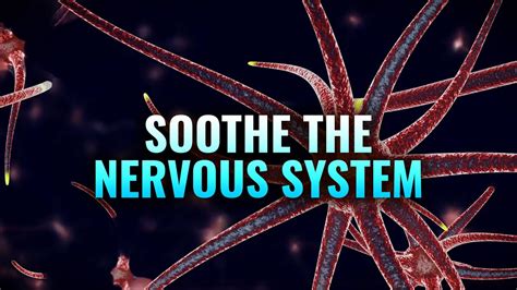 Soothe the nervous system: